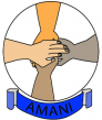 amani-initiative-logo
